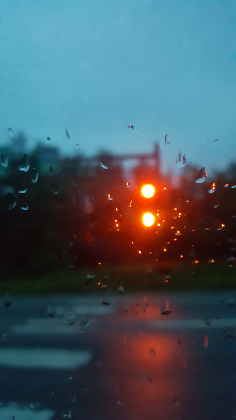 Rainy day, rain, lights, HD phone wallpaper | Peakpx