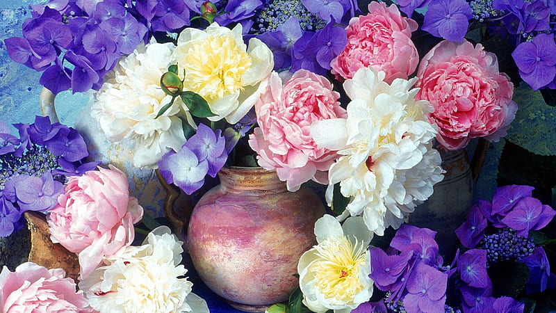 Colorful Peonies Hydrangea Flowers With Jugs Flowers, HD wallpaper
