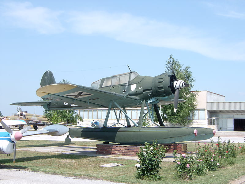 Arado AR-196, guerra, german, germany, arado, ww2, luftwaffe, seaplane, HD wallpaper