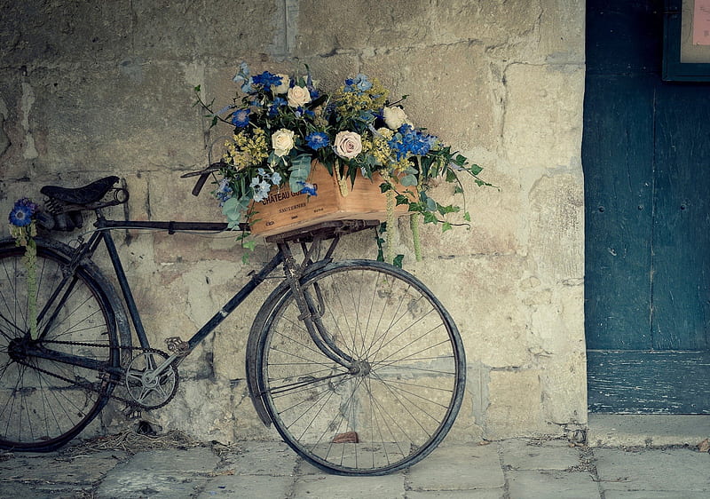 Bicycle, house, decoration, roses, old, wall, door, flowers, bike, blue, vintage, HD wallpaper