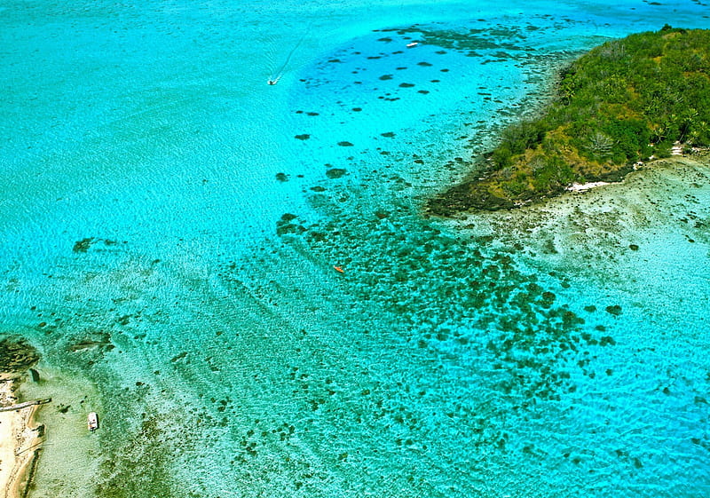 Perfect Clear Blue Lagoon Paradise at Bora Bora Tahiti French Polynesia Society Islands, polynesia, resort, zen, french, atoll, lagoon, beach, bank, aqua, islands, desert, ocean, pacific, south, society, paradise, sandbank, seas, southseas, bonito, sea, turquoise, rereat, sand, blue, exotic, clear, peace, escape, alone, island, tropical, tahiti, HD wallpaper
