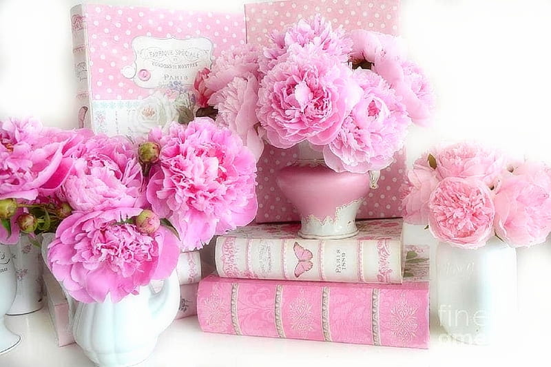 Pink Peonies, chic, romantic, books, love four seasons, flowers, pink, peonies, lovely still life, graphy, beloved valentines, HD wallpaper