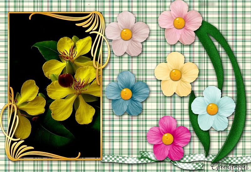YELLOW FLOWERS, PRETTY, FLOWERS FRAMED, HD wallpaper