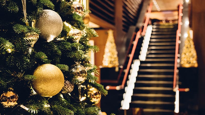 Luxury Christmas Hotel Breaks & Offers, Christmas Library, HD wallpaper