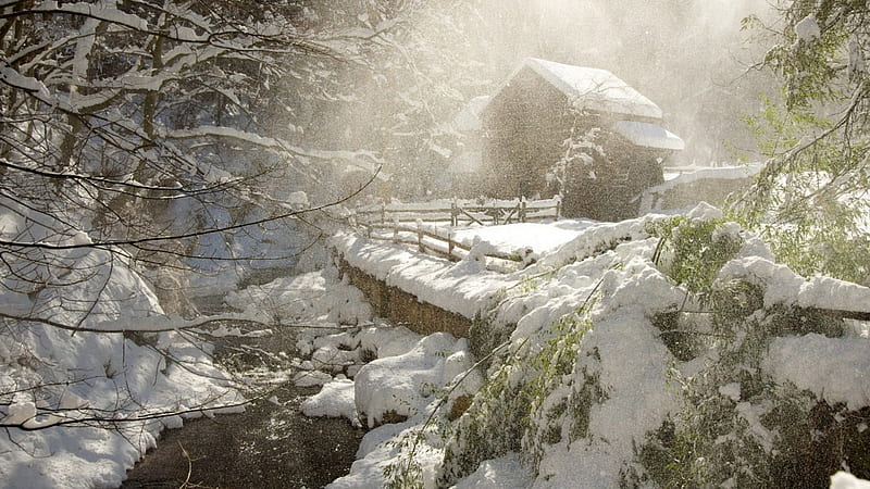 Winter Onsen House, forest, house, japanese, onsen, winter, japan, snow, nature, hotbath, HD wallpaper