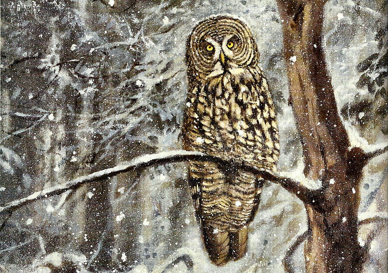 Great Grey Owl F1, owl, art, artwork, animal, bird, avian, painting, wide screen, wildlife, HD wallpaper