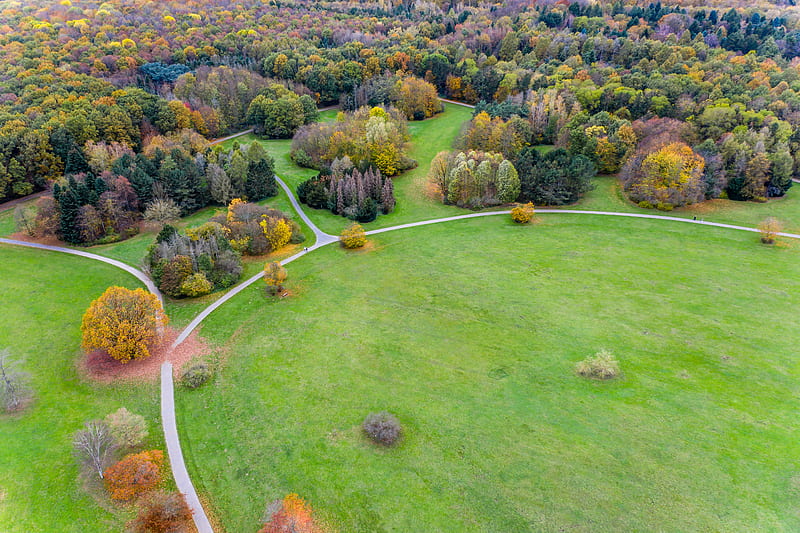 field, trees, paths, aerial view, view, HD wallpaper