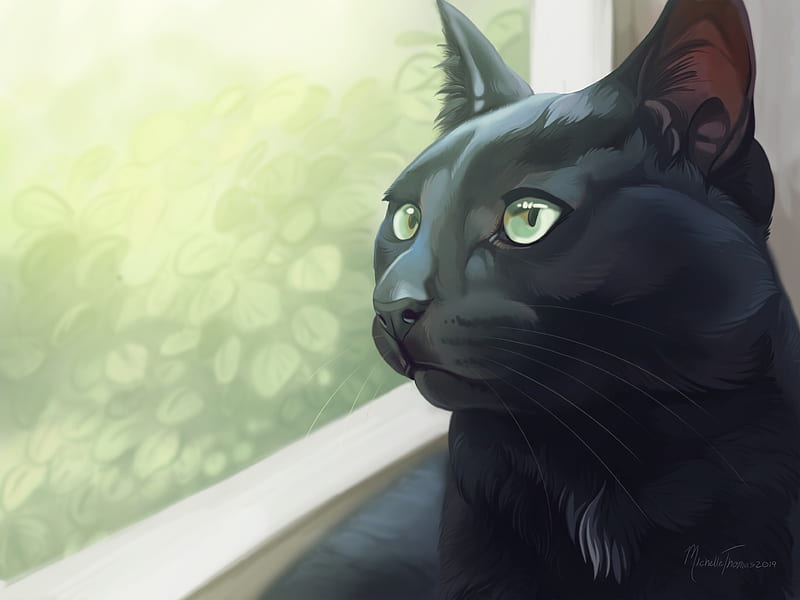 cat, black, glance, window, art, HD wallpaper