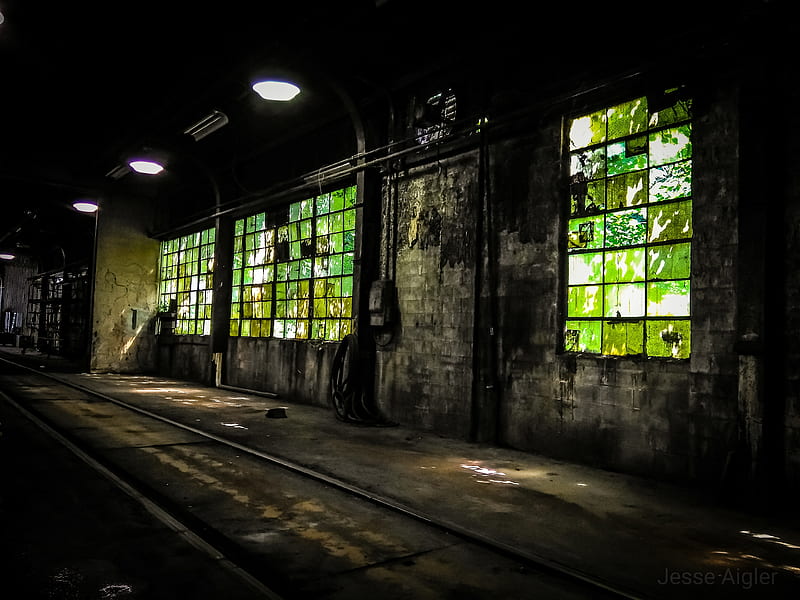 Factory, abandoned, art, industrial, leaves, overgrown, rail, rail cars, window, HD wallpaper