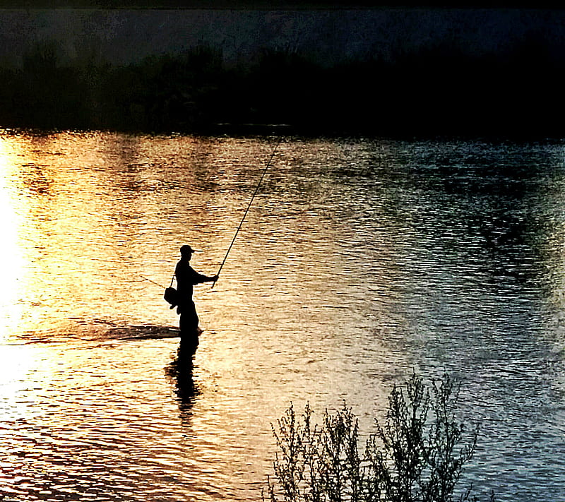 Fishing, fisher, river, HD wallpaper