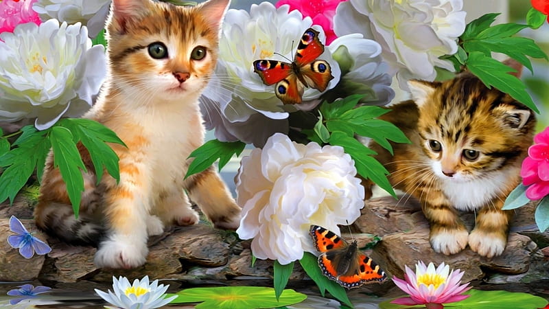 Katze, Deutschland, Blumen, Schmetterlinge, HD wallpaper