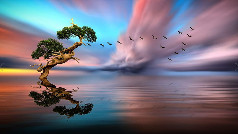 Solitary Lake, solitary, art, birds, nature, reflection, trees, clouds, lake, HD wallpaper