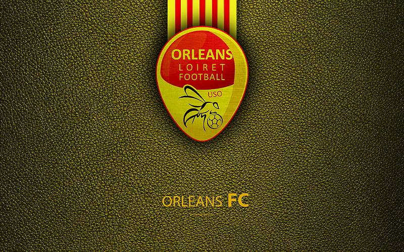 Orleans FC, French football club Ligue 2, leather texture, logo, Orleans, France, second division, football, HD wallpaper