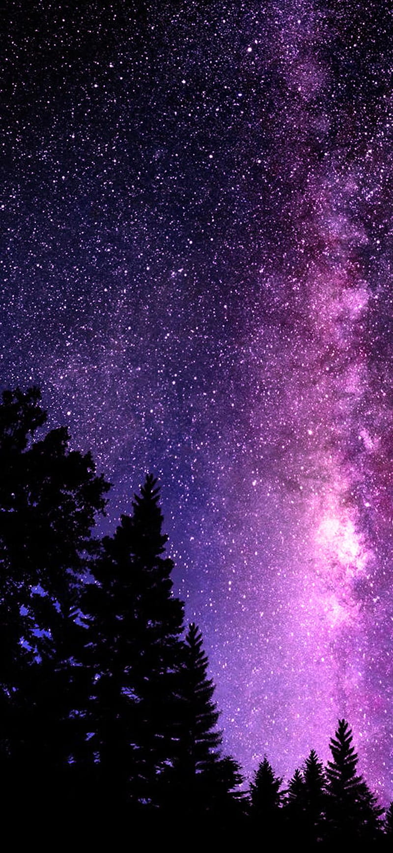 Purple Heaven, dark, galaxy, pretty, purple, sky, trees, HD phone wallpaper