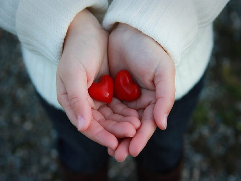 hands, red, kind, giving, child, corazones, 2, sweet, HD wallpaper