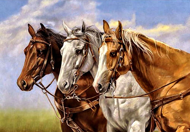 Three of a Kind - Horses FC, art, palomino, gray, equine, bonito, horse, illustration, artwork, animal, painting, gris, wide screen, bay, HD wallpaper