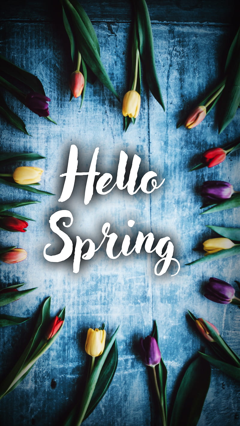 Hello Spring 20, bonito, fashion, flowers, love, nature, naturegraphy, graphy, oftheday, summer, HD phone wallpaper