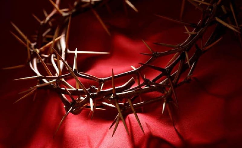 Good Friday, red, thorns, Easter, crown of thorns, HD wallpaper | Peakpx