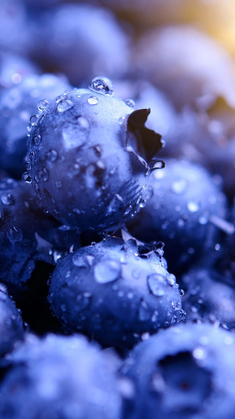 blueberries, fruit, fruits zen, HD phone wallpaper