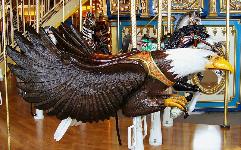 Carousel American Bald Eagle, architecture, lakeside shopping mall, stairs, michigan, orange and white tigers, merry go rounds, american bald eagle, hare, zebra, carouse1, sterling heights, rabbit, golden, cat, horse, double decker, fow1, amusement park, bird, carousel, pony, kitten, HD wallpaper