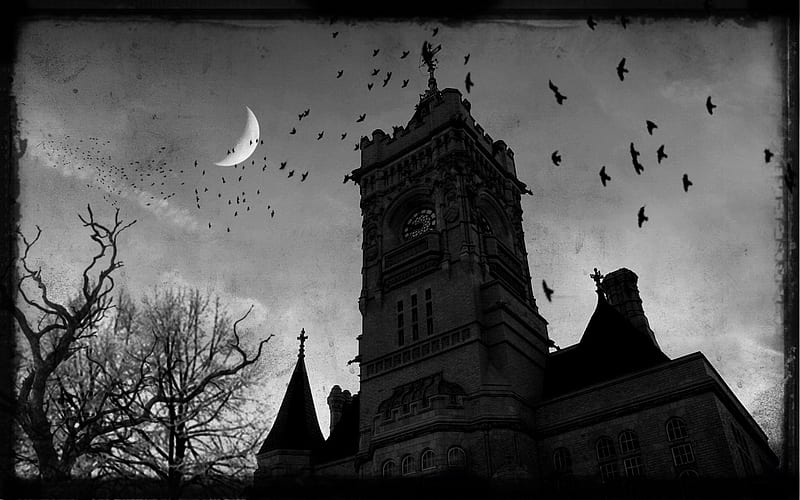 Gothic castle, gothic, castle, night, ravens, HD wallpaper