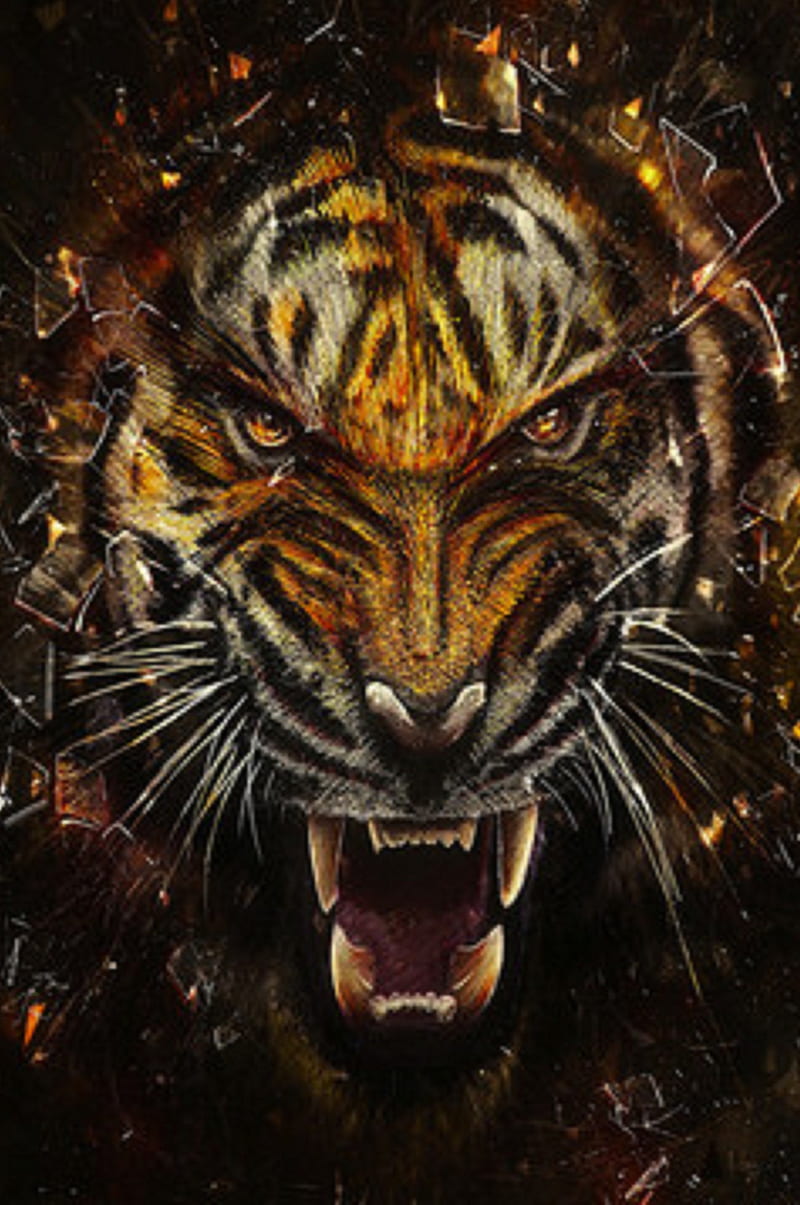 Tiger, 1t, t1, HD phone wallpaper