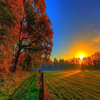 Autumn sunset nature, bonito, cute, look, nice, HD phone wallpaper | Peakpx