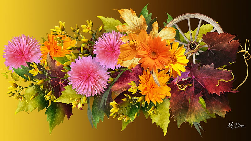 Mums Pink, perfume, fall, flowers, autumn, fragrant, aroma, garland,  corsage, HD wallpaper | Peakpx