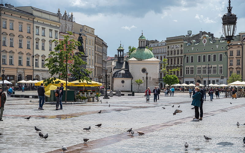 Marketplace in Krakow, Poland, chapel, marketplace, Poalnd, houses, Krakow, pigeons, HD wallpaper