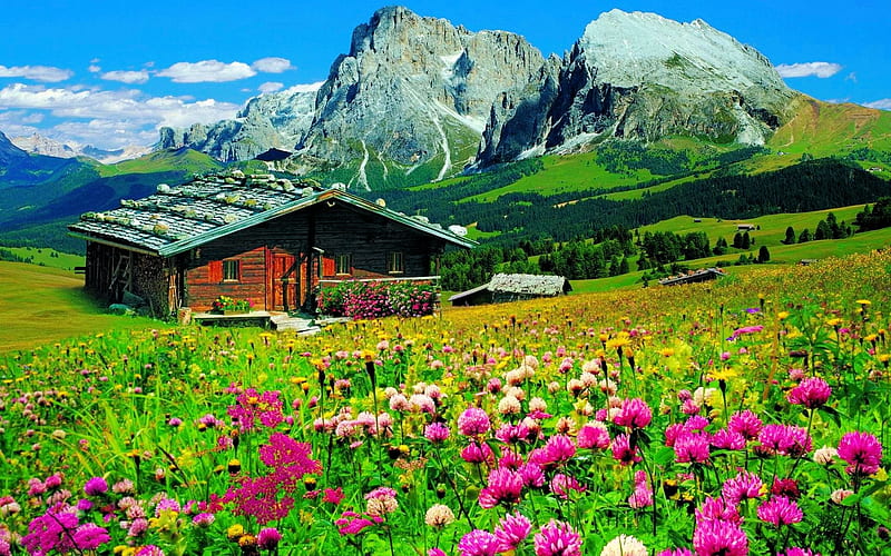 South Tyrol, Italy, flowers, dolomites, cabin, sky, HD wallpaper