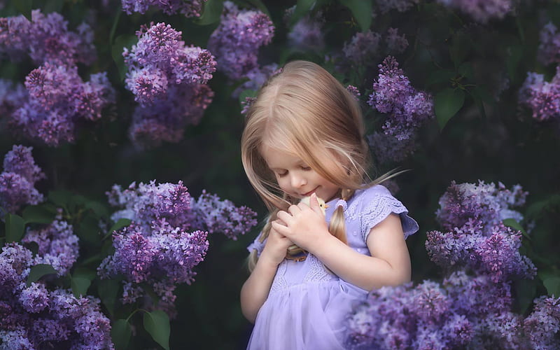 graphy, Child, Little Girl, Cuddle, Lilac, Purple Flower, HD wallpaper