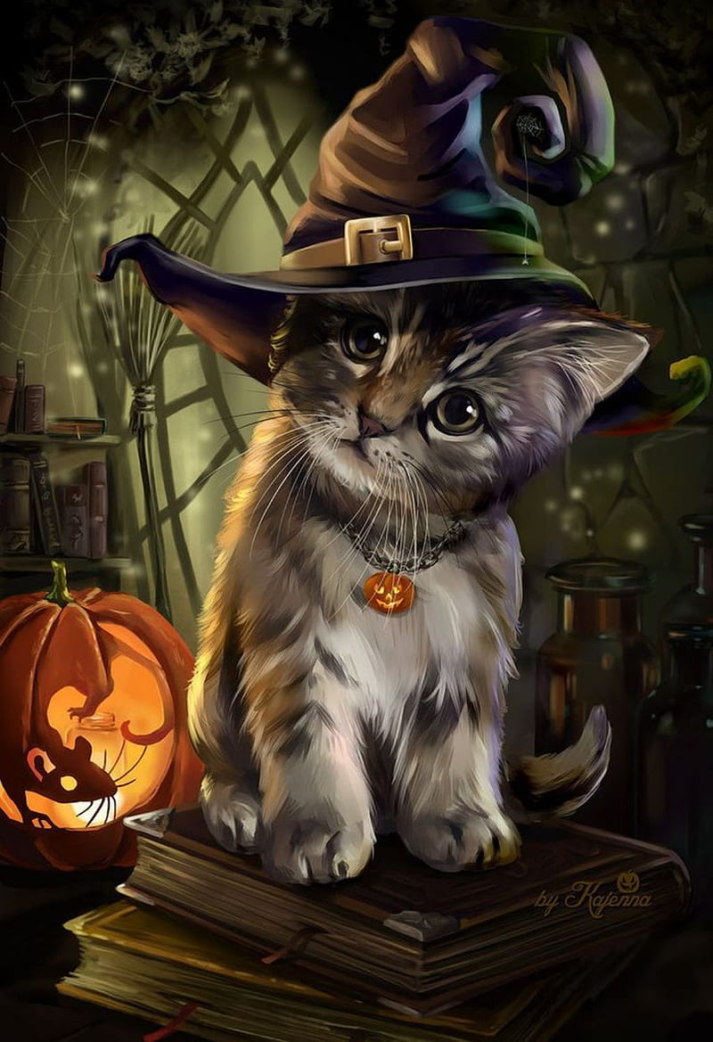 Cute Halloween Kitty, black, cat, cats, cute, halloween, halloween , kitten, HD phone wallpaper