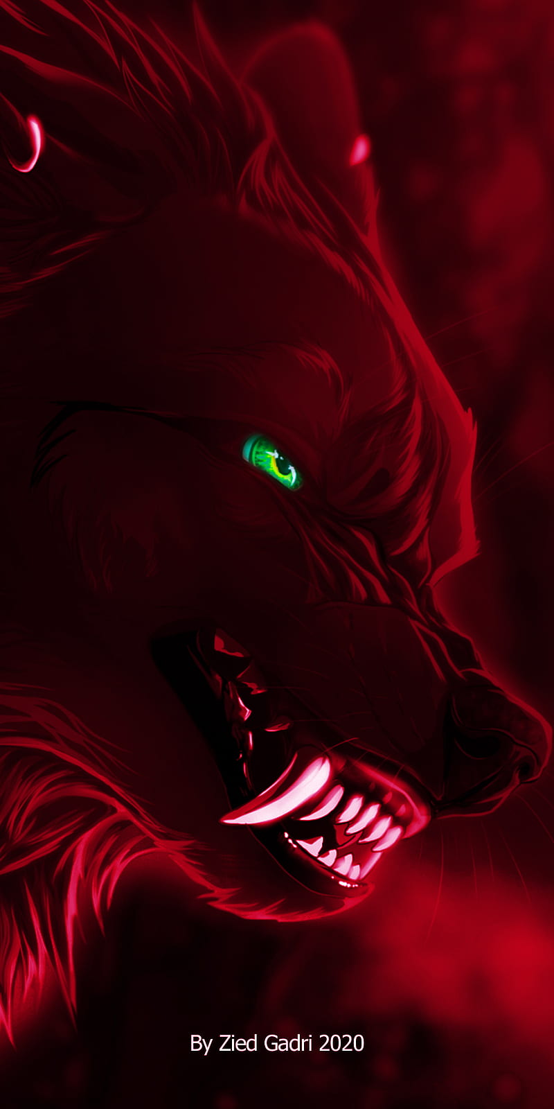 Red Wolf, light, night, HD phone wallpaper