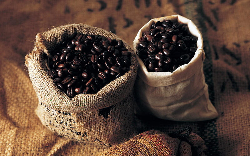 Arabica Coffee Beans, graphy, coffee, bags, beans, abstract, coffee beans, HD wallpaper