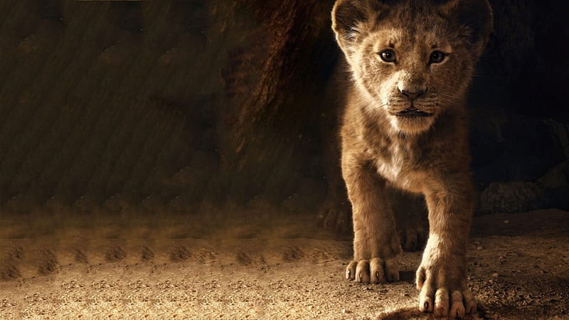 The Lion King 19 Disney Poster Movie Leu Cub Simba The Lion King Hd Wallpaper Peakpx