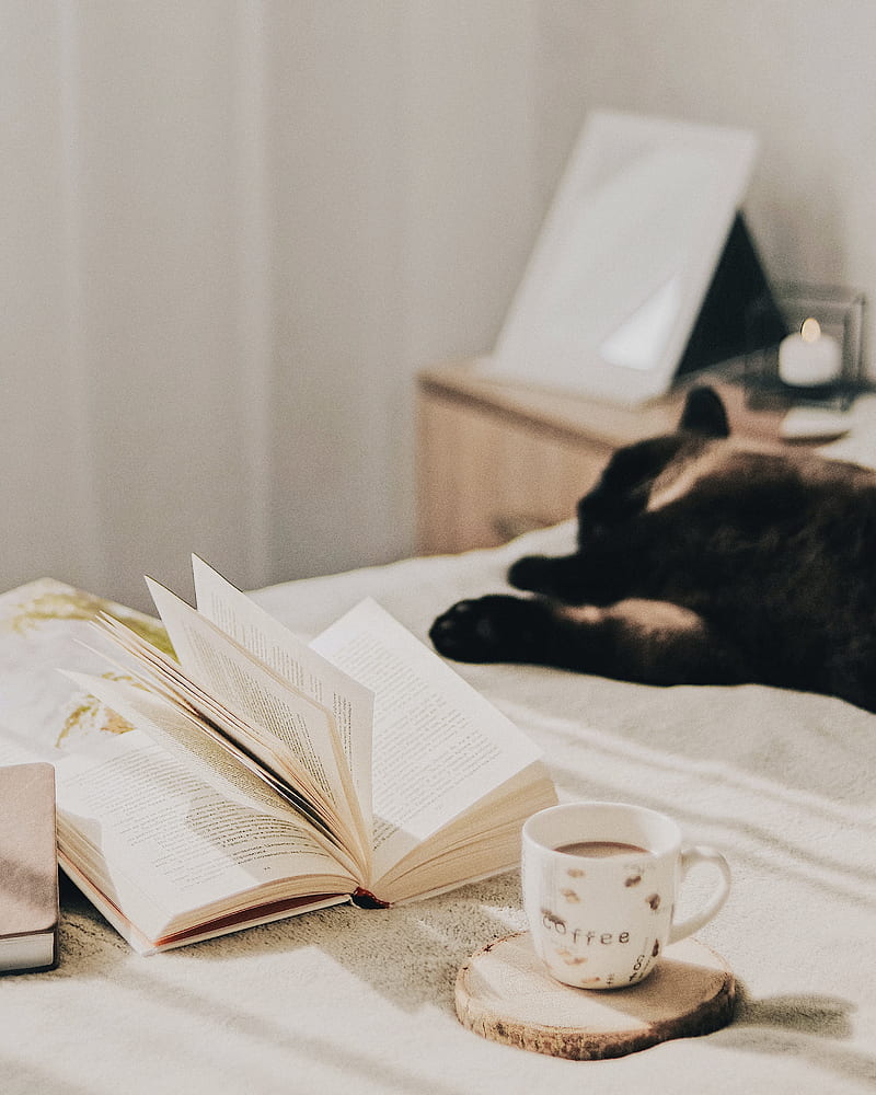 Cup, coffee, book, pages, cat, HD phone wallpaper | Peakpx