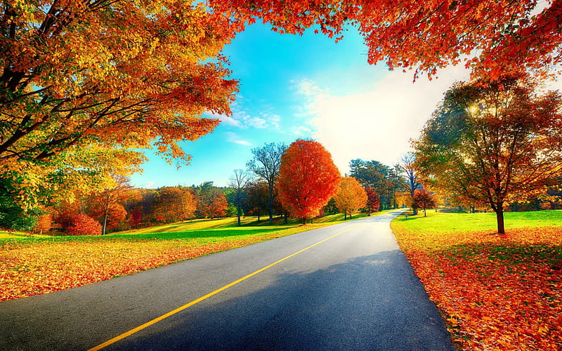 Autumn road, colorful, fall, autumn, travel, bonito, trees, foliage ...