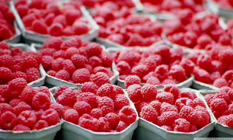 Raspberry Packages, red, delicious, s, packages, groups, market, sweet, fruit, yummy, texture, pints, tart, HD wallpaper