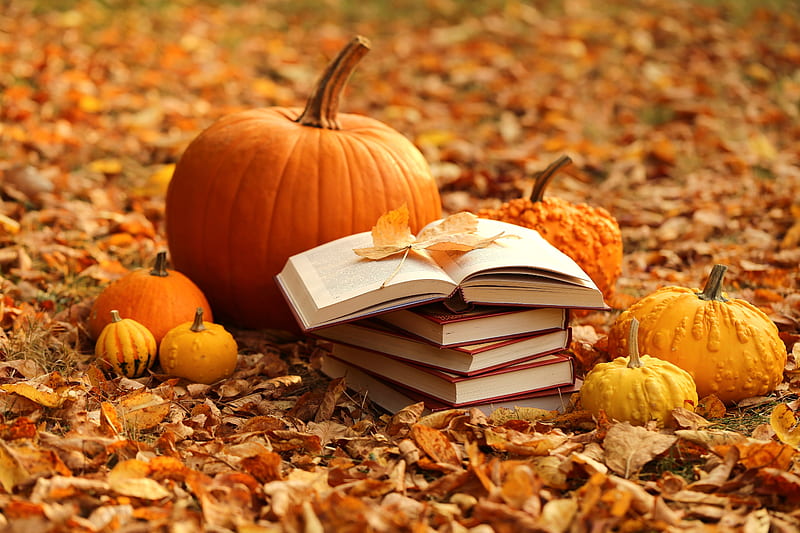 Autumn harvest, Yellow, Pumpkin, Leaves, Books, HD wallpaper
