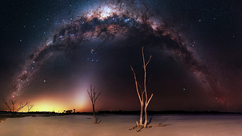 Milky Way Night and Bare Trees, HD wallpaper