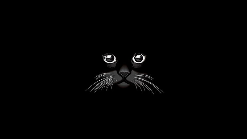 Cat Vector, cat, animals, vector, HD wallpaper