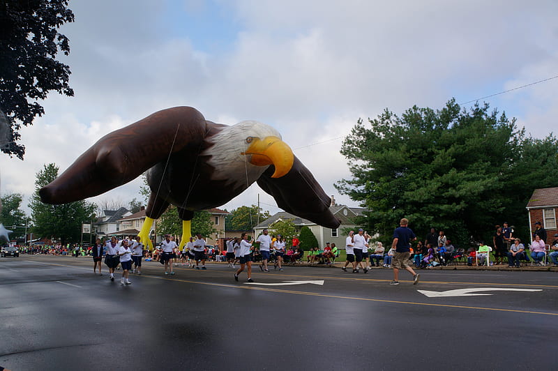 The Eagle Has Landed, american bald eagle, eagle, parade float, HD wallpaper