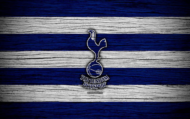 Cầu thủ bóng đá Tottenham Hotspur FC Harry Kane trong chiếc áo màu xanh 4K  tải xuống hình nền