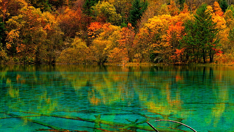 Landscape View Of Orange Yellow Green Autumn Trees Reflection On Teal ...