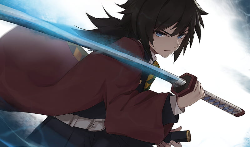 Giyu Tomioka, demon slayer, espada, hero, kimetsu no yaiba, HD wallpaper