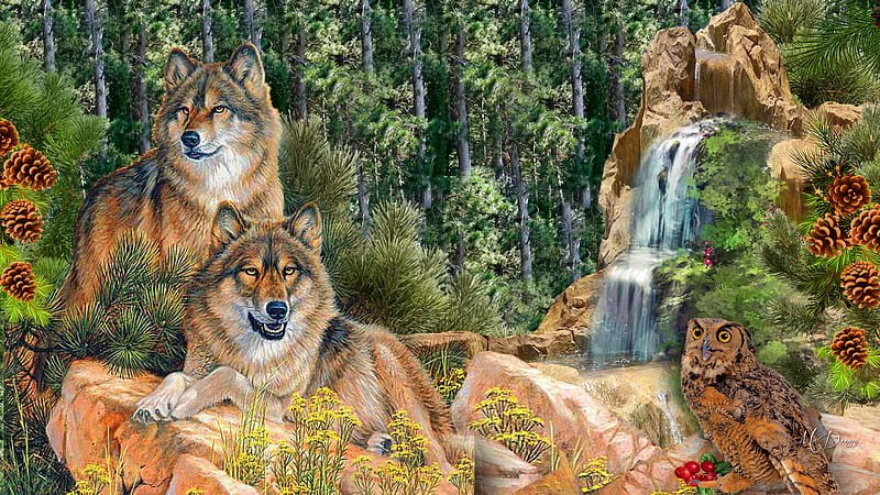 Wolves Waterfall, forest, owl, rocks, woods, wolves, loup, waterfalls, HD wallpaper