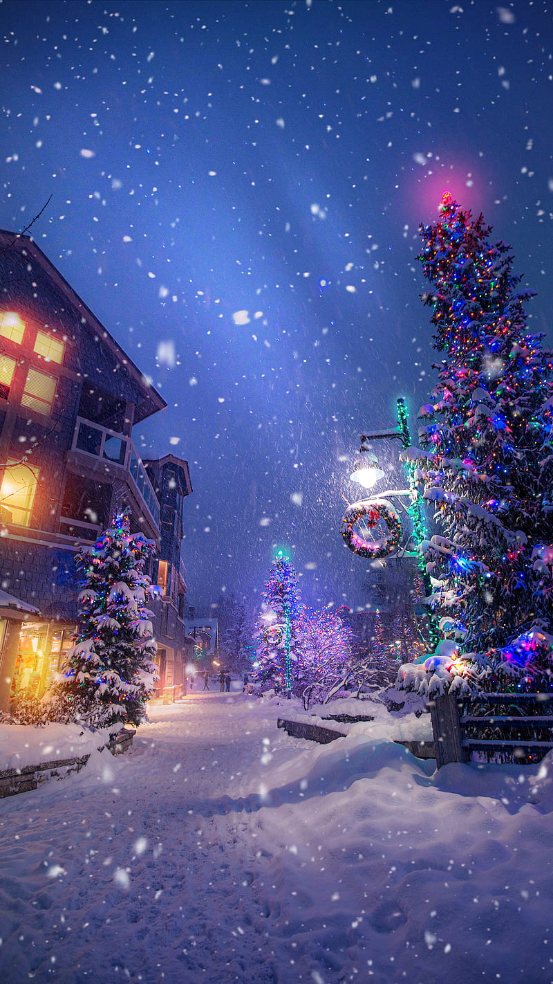 Christmas Snow Tree 4K Ultra HD Mobile Wallpaper
