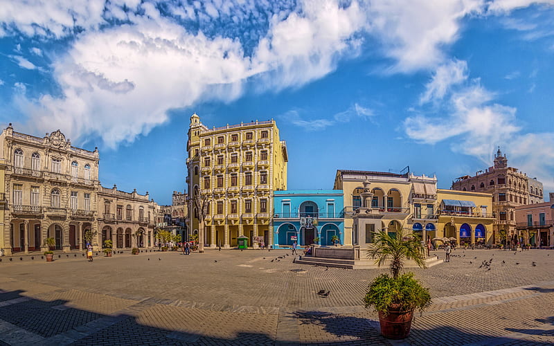 Havana, morning, square, Havana cityscape, palm trees, Cuba, HD wallpaper