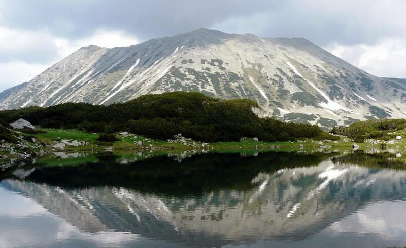 Pirin Mountain forest, view, lake, mountain, graphy, water, green, pine, snow, nature, reflection, bulgaria, HD wallpaper
