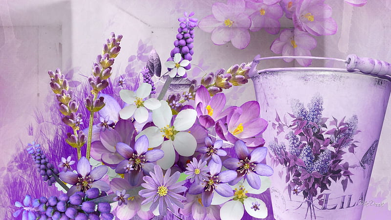 Lavender Lovely Lavender, lilac, crocus, spring, lavender, summer, blossoms, flowers, garden, blooms, snap dragons, HD wallpaper